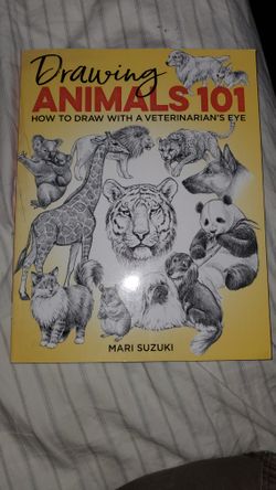 Drawing Animals 101 How to Draw With A Veterinarians Eye.