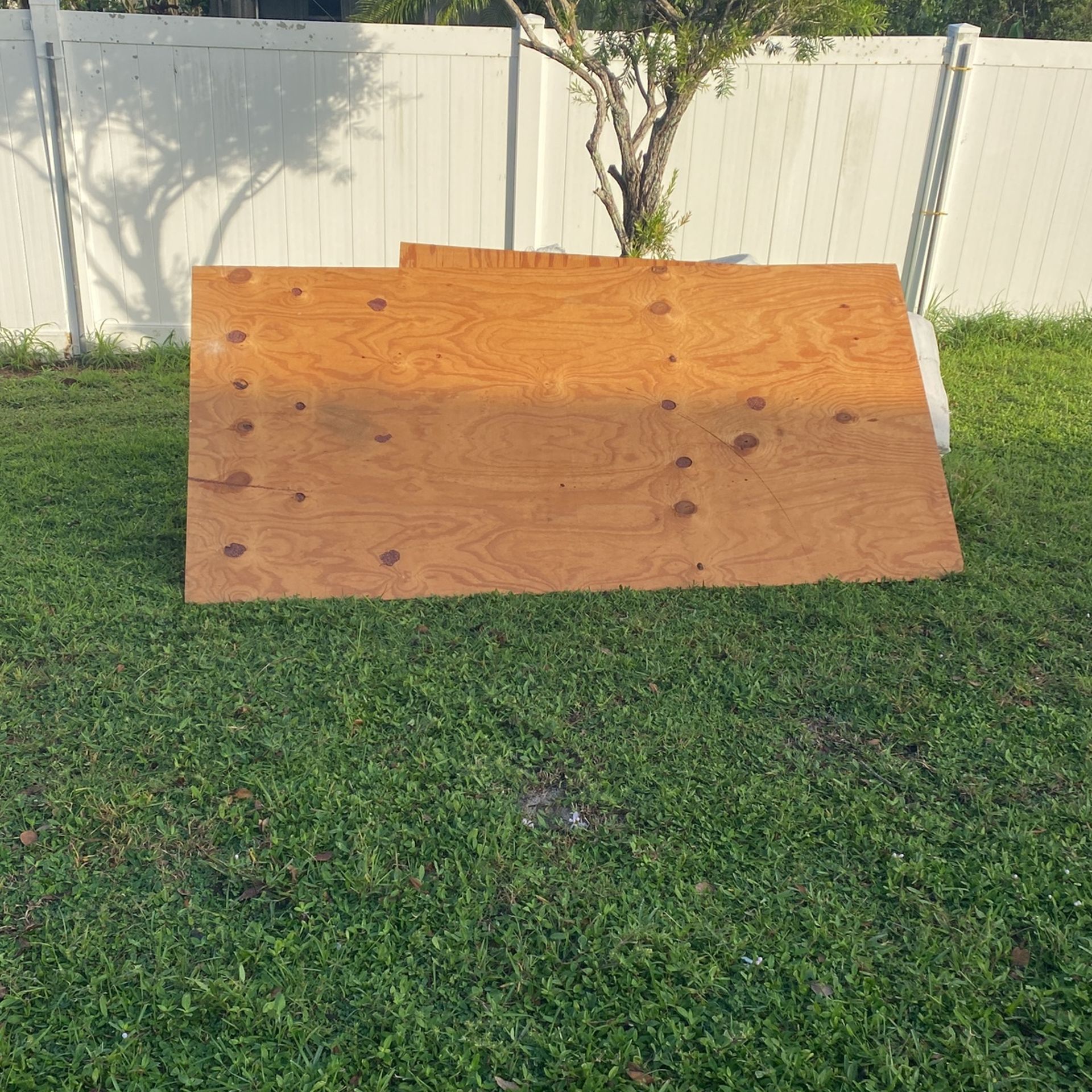 Sheath Plywood Half Inch 4 X8 $20