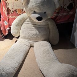 Over 6’ Tall Teddy Bear 