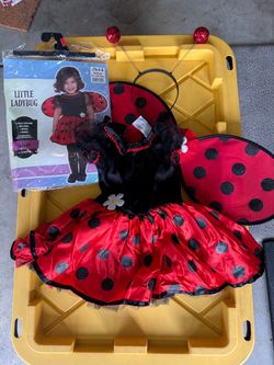 Little Ladybug Costume - Size 12-24 Mo