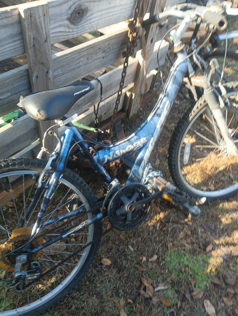 Two Bicycles One Is A Original Schwinn The Other Is A Mirage