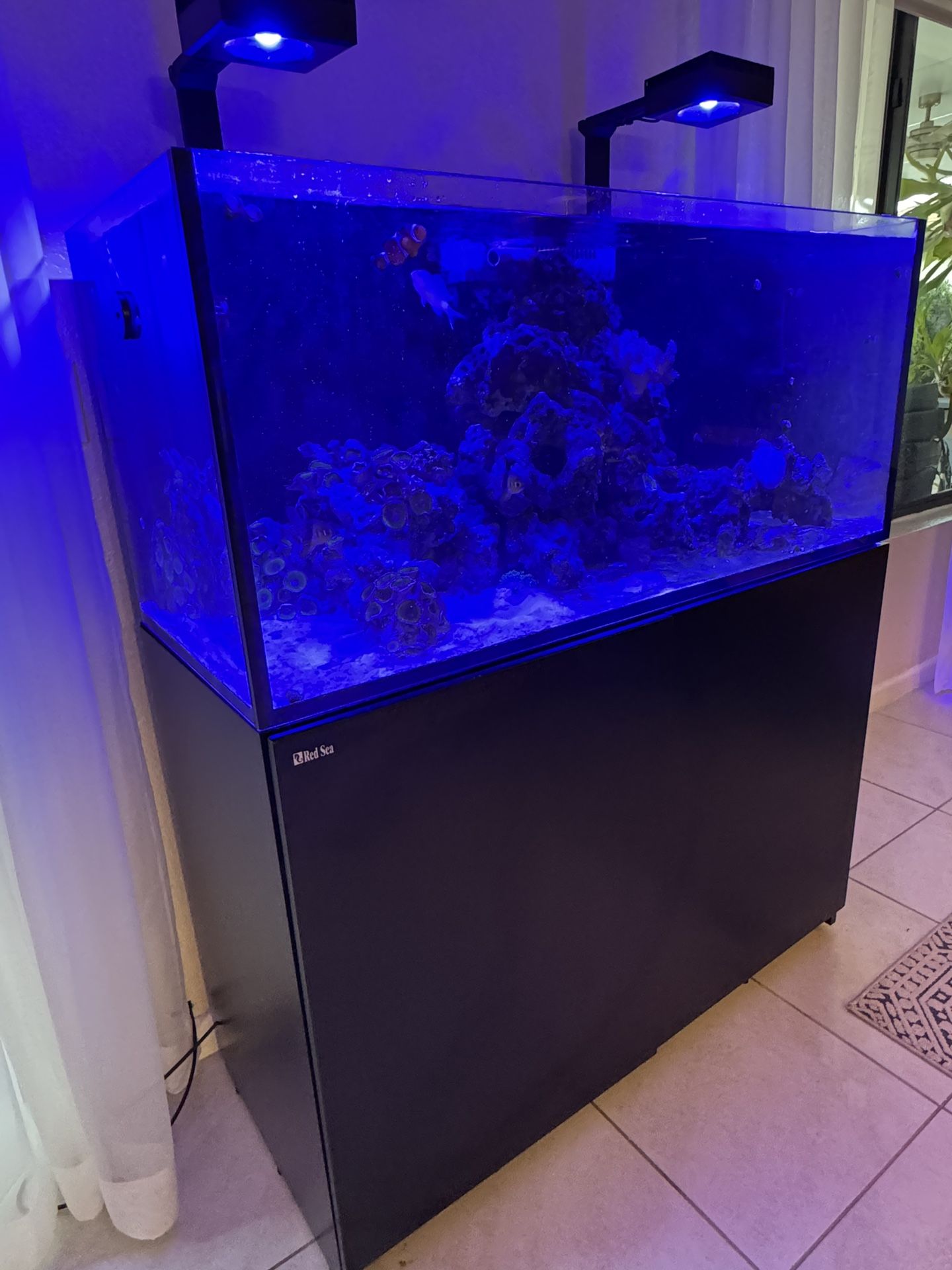 Red Sea Fish Tank Like New