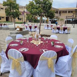 Chair covers and chair ties.