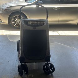 Verge carrying walker