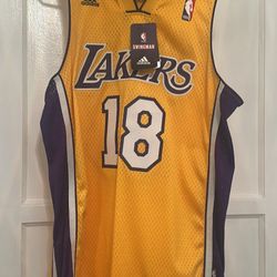 Sasha Vujacic Lakers Jersey