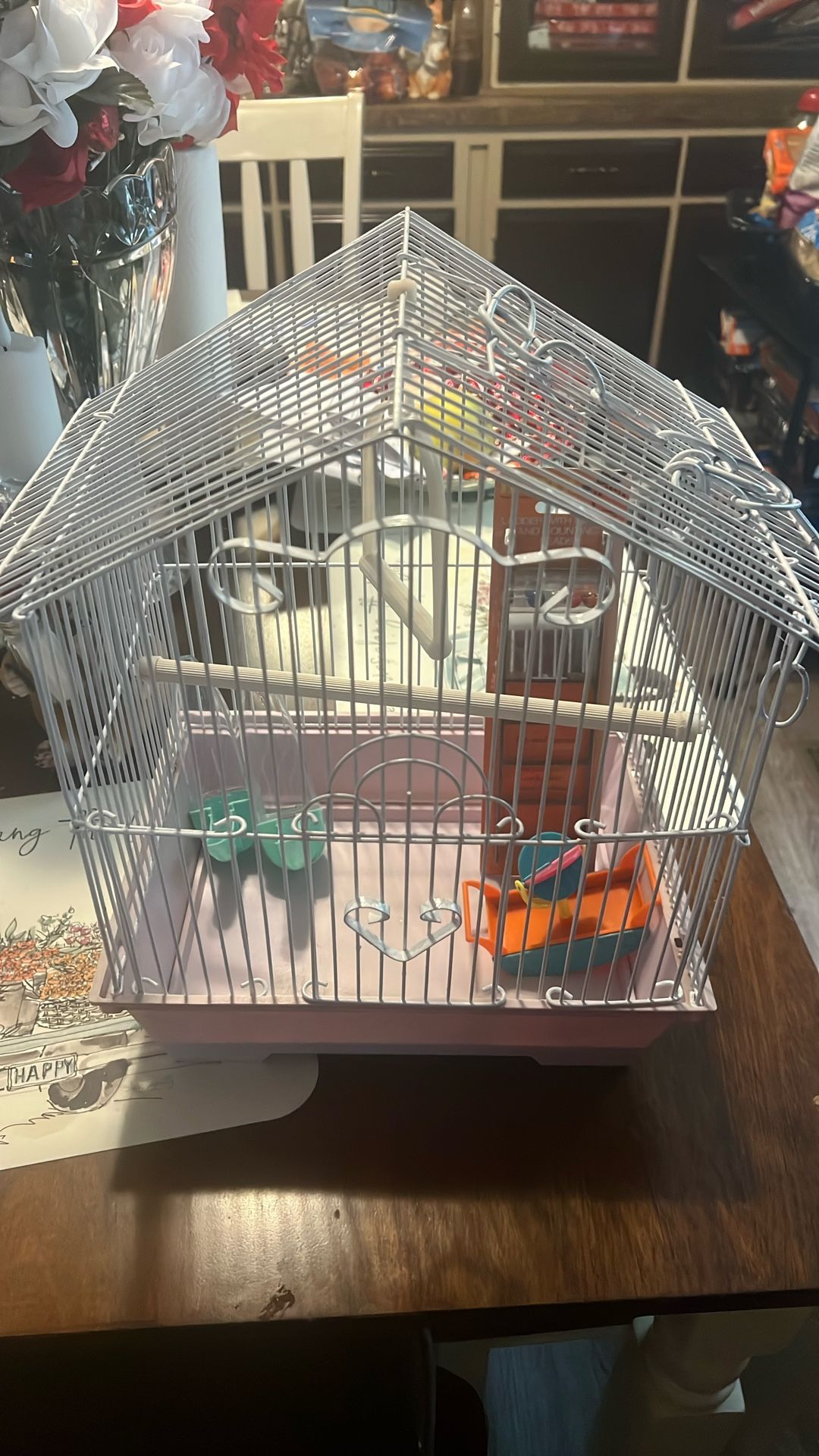 Small birdcage with brand new little ladder swing bar to stand on and feeders and another little toy
