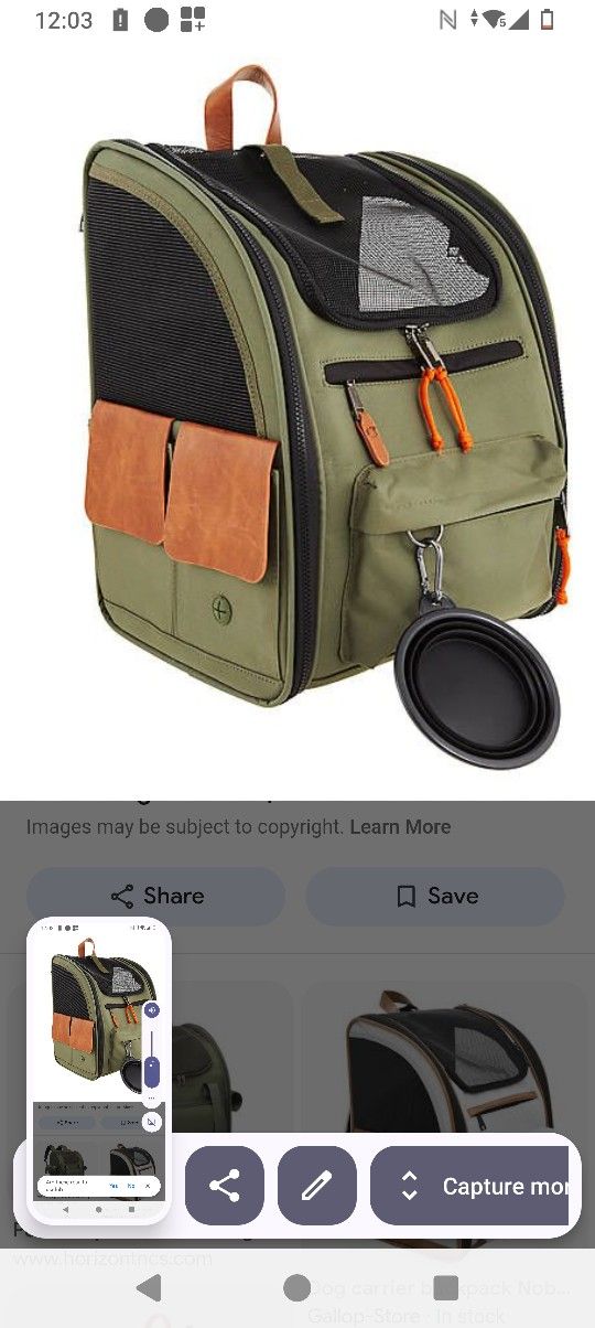 Bag Carry For Cats And Dogs