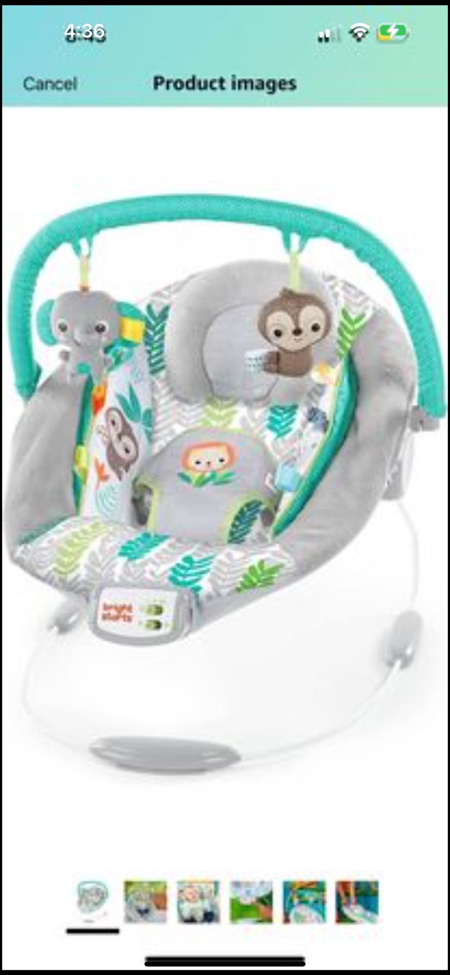 Baby Bouncer