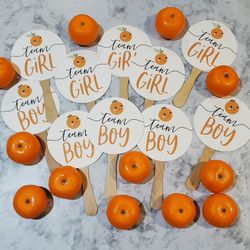 Gender Reveal Party Decorations Little Orange Citrus Baby Team Girl Or Boy