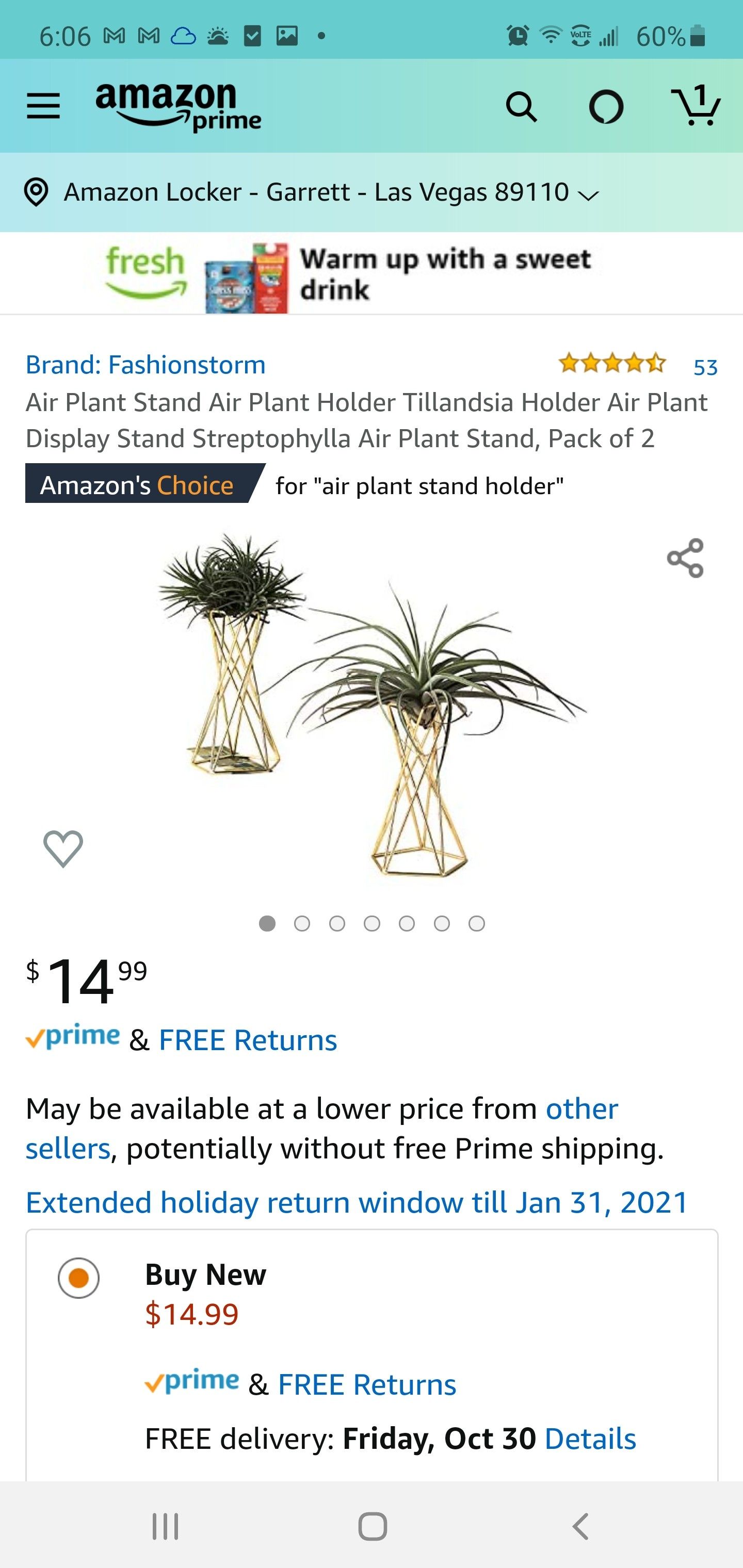 Air Plant Stand Holder