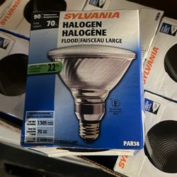 Flood Lights.  Box -10x