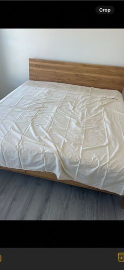 Samina BED