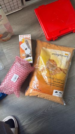 Bearded dragon equipment