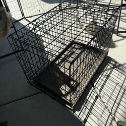 Dog Crate