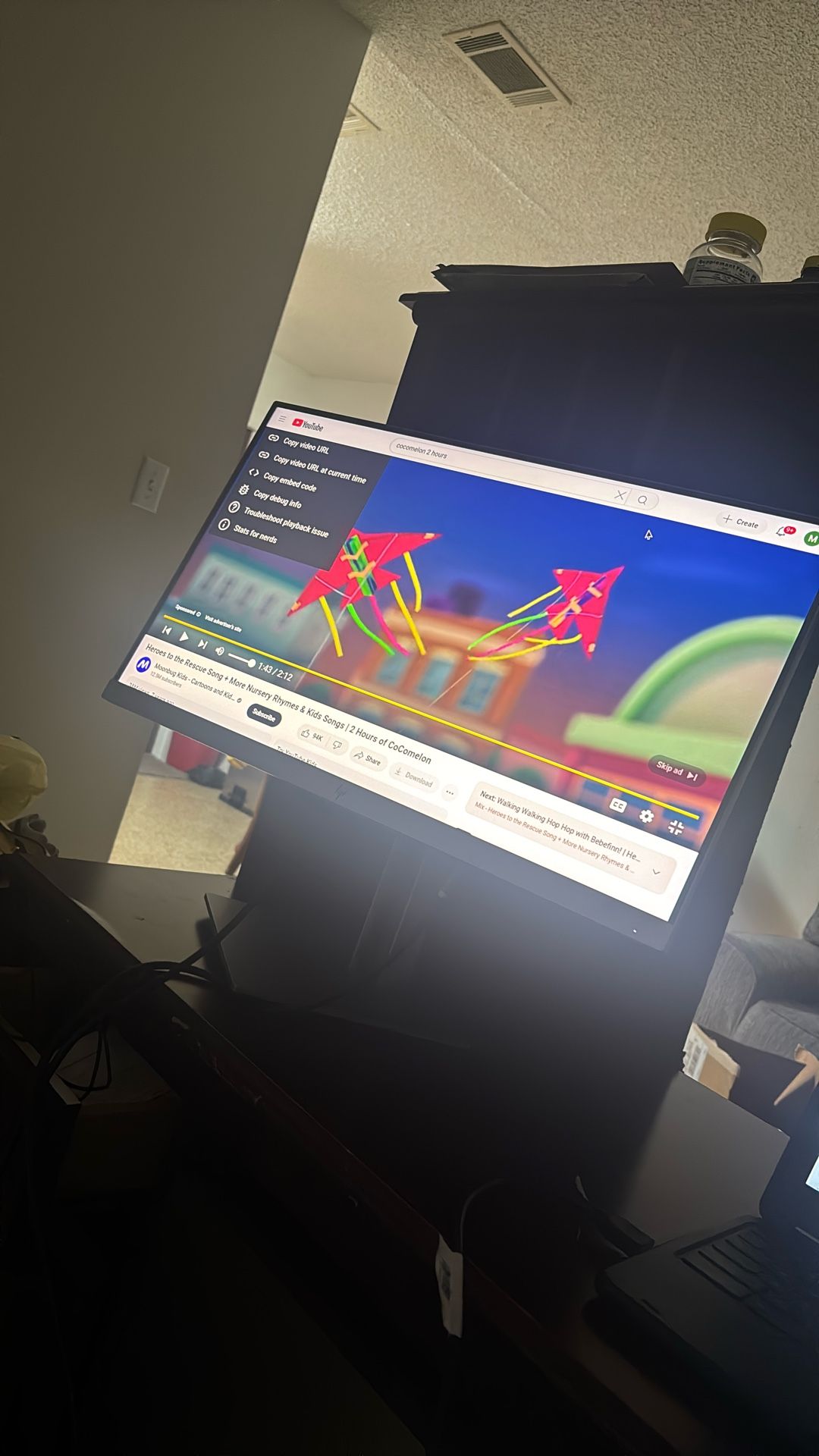 HP Monitor