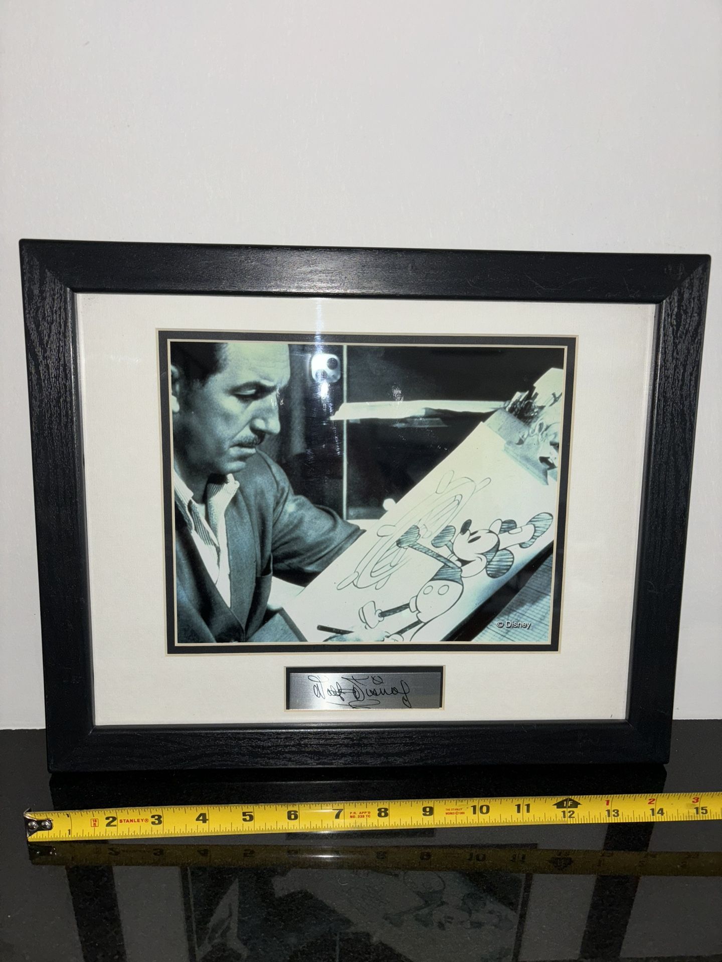 Walt Disney Framed Picture And Autographed Name Plate. Licensed By Disney, Excellent Condition.  13”X15”. 