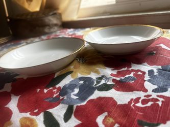 Haviland SET OF 2 VINTAGE Plates 