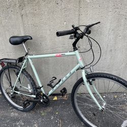 Commuter Bike, Free Delivery 