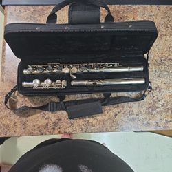 western concert flute
