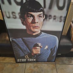 Star Trek Spock Framed Poster 24 By 36