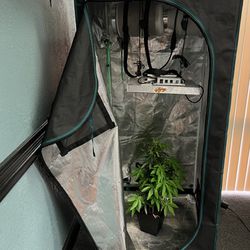 TS1000 Complete kit (plant Is Not Included