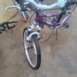 Multiple Speed Bike Used 