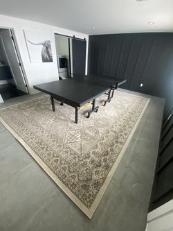 Area Rug Large 11ft X 14ft 6”