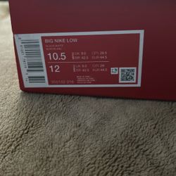 Big Nike Low