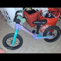 Lil Kids Cannondale Push Bike