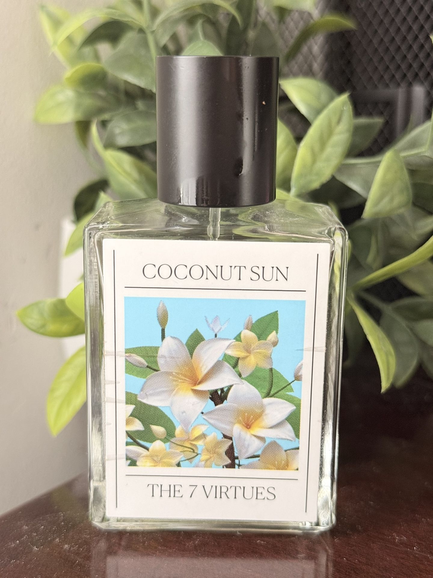 Coconut Sun by The 7 Virtues