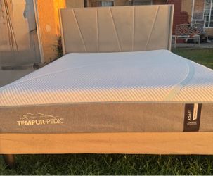 Nice Queen bed with good mattress