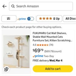 Cat Wall Shelves