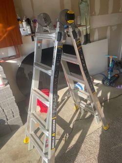Escalera de 22 gorila