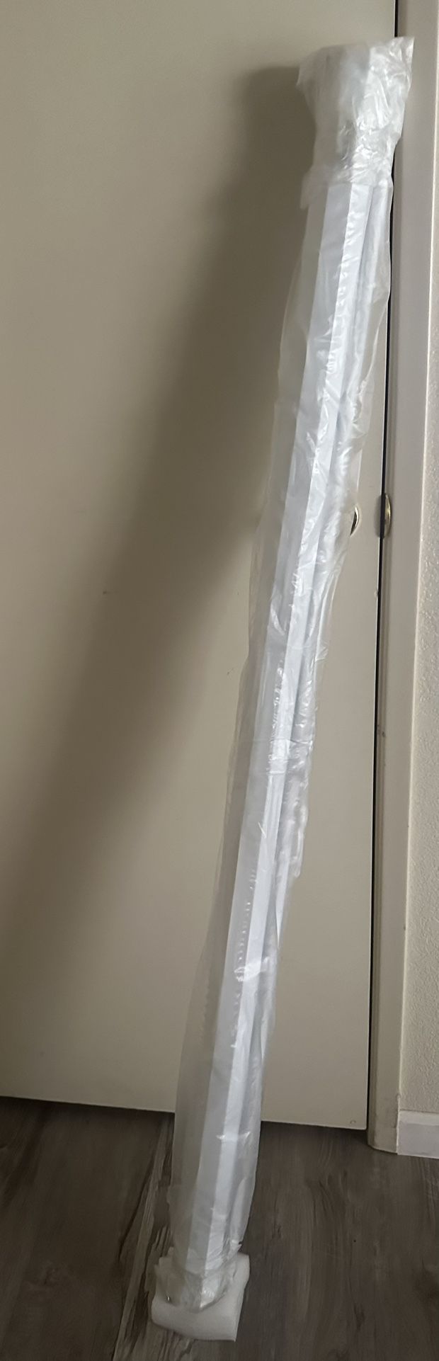 Projector Screen