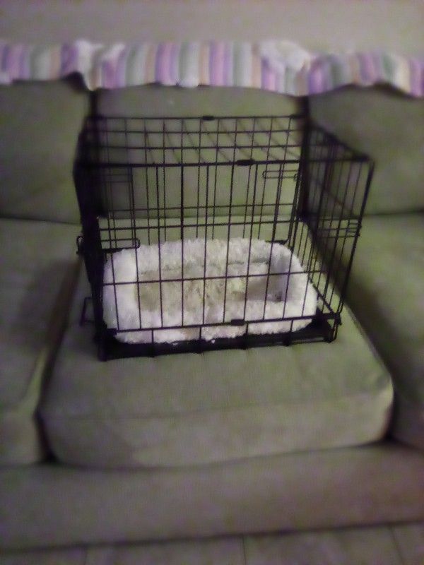 Small Dog Crate