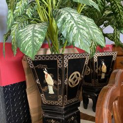 Orinetal Potter Plant  *Galvanished Metal Insert