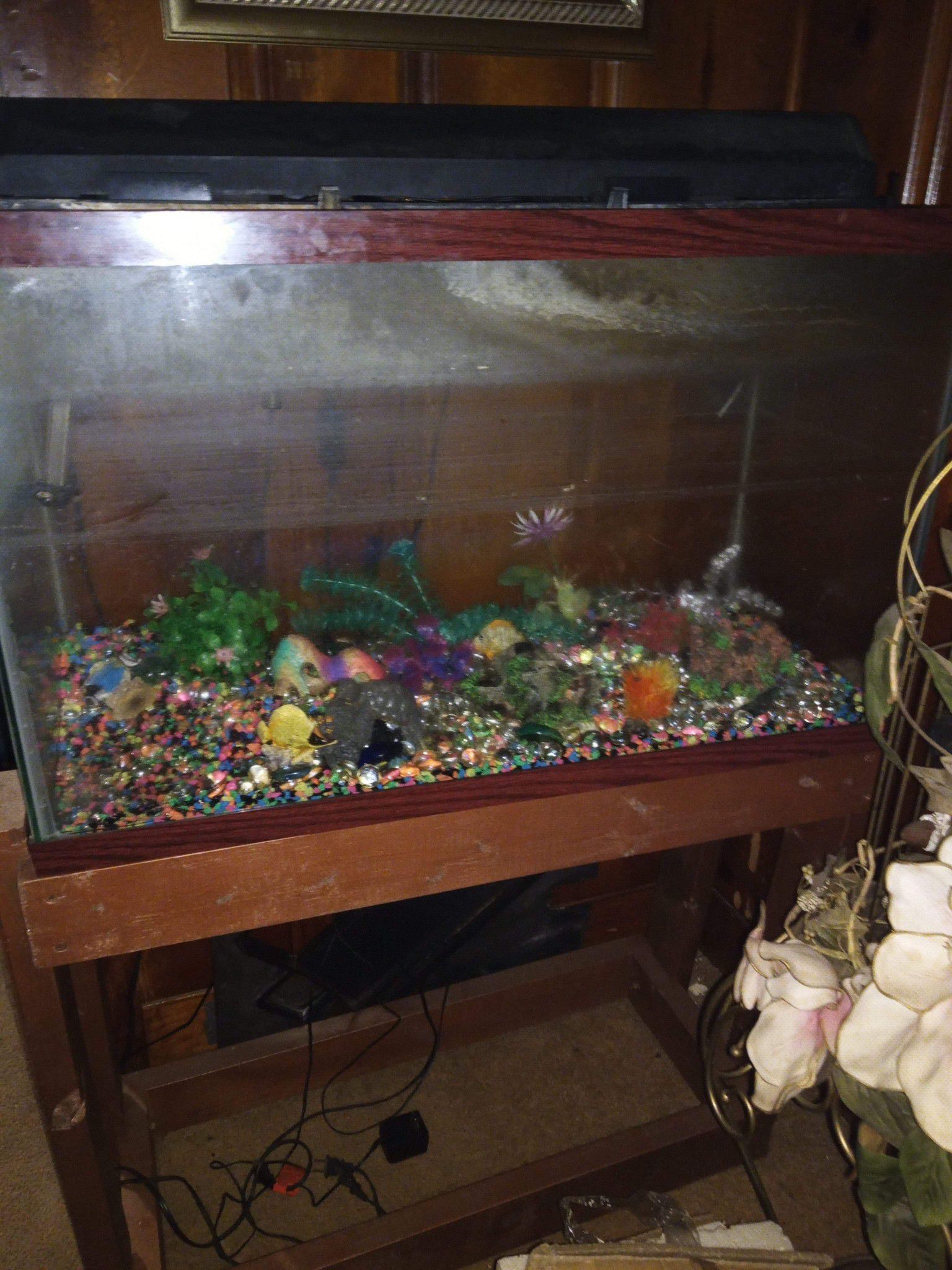 Fish tank everything included ready to go