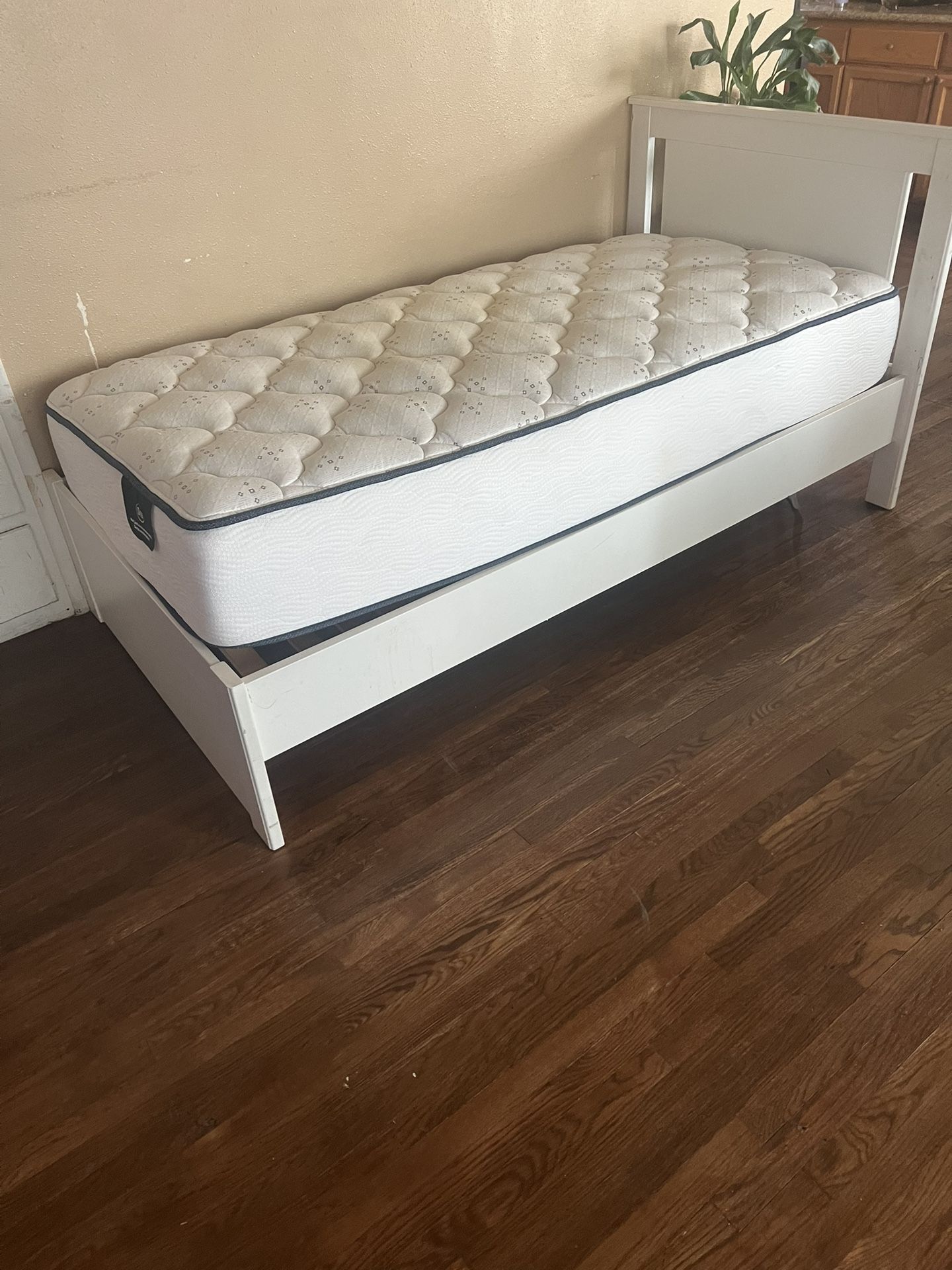 Bed And Mattress