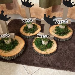 Centerpieces Wild 1 Theme