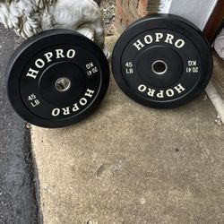 Olympic Bumper Weight Plates
