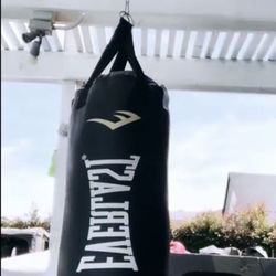 Everlast Punching Bag