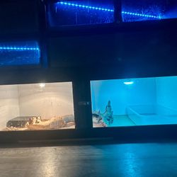 Reptile enclosure 6 x 2 x 2