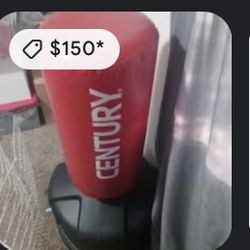 Punching Bag And Gloves
