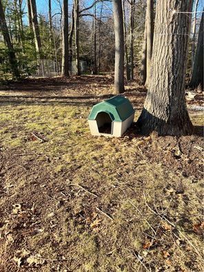 Large Durable Plastic Dog House 