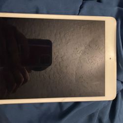 iPad mini