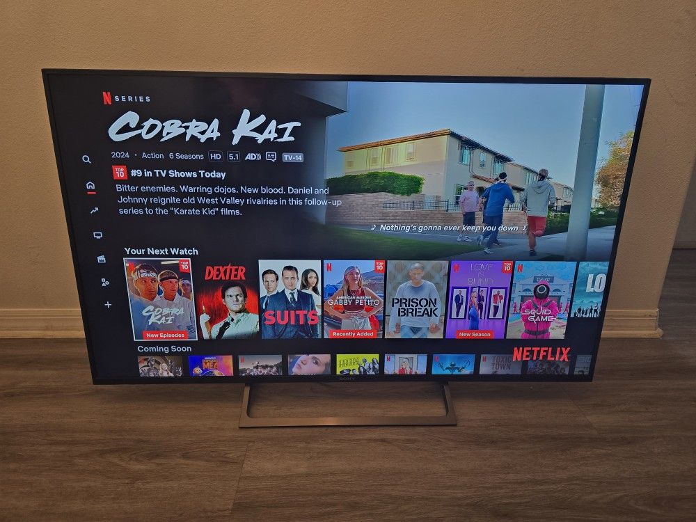 Sony Bravia 55 Inches