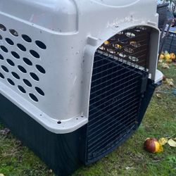 Dog Kennel Size Length 36inch Price 35$. Pick E.  72.  and.  Grandview. E.  Tacoma 