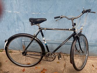 PalmCycle 3 speed bicycle