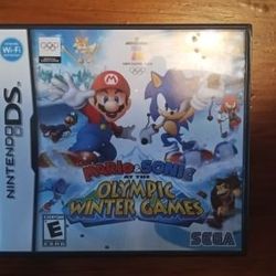 Mario and Sonic at the Winter Olympic Games DS