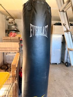 Everlast heavy bag